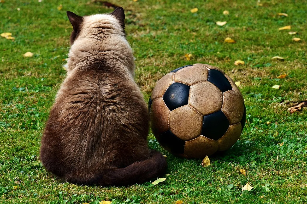 Monterrey vs. Tigres UANL: Fierce Clásico Regio Rivalry