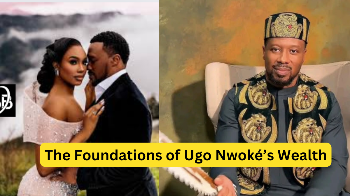 The Foundations of Ugo Nwoké Wealth