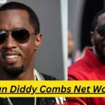 Sean Diddy Combs Net Worth: The Rise of a Hip-Hop Mogul